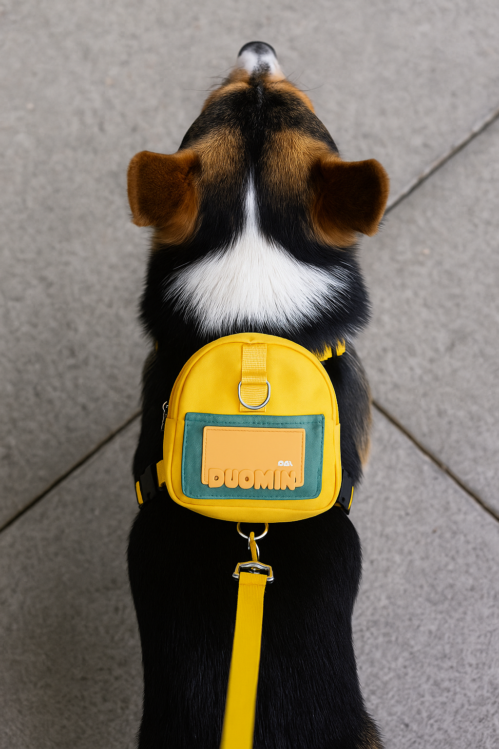 Dogime Adventure Pup Backpack Harness