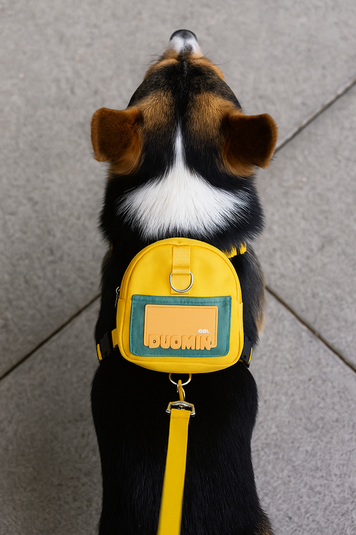 Dogime Adventure Pup Backpack Harness